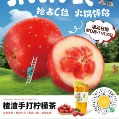 渣渣茉莉